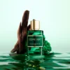 Cèdre Vert Collection Privée Paris 100 ml – parfum homme boisé vert frais disponible au Maroc