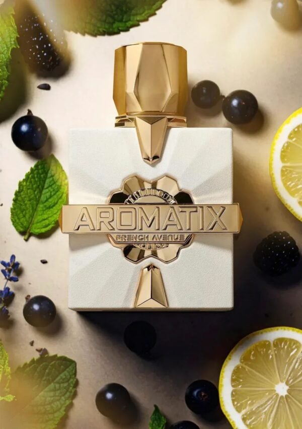 Aromatix Platine Blanc French Avenue 100 ml – parfum homme frais aromatique disponible au Maroc