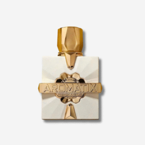 Aromatix Platine Blanc French Avenue 100 ml – parfum homme frais aromatique disponible au Maroc
