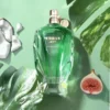 Urban Man Paradise Fragrance World 100 ml – parfum homme tropical frais boisé disponible au Maroc