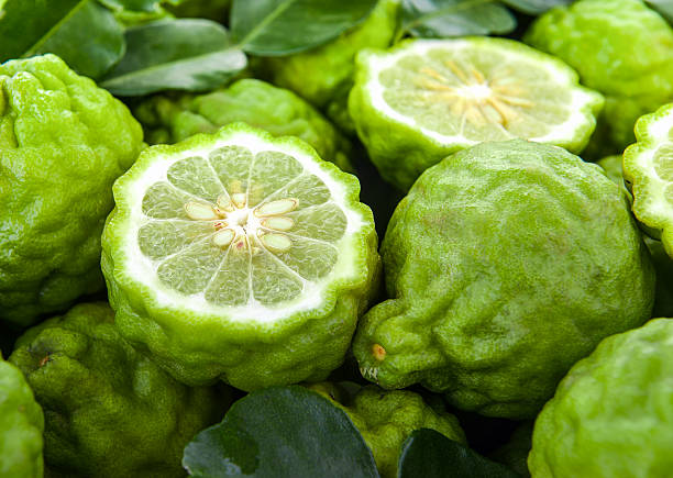 Bergamote